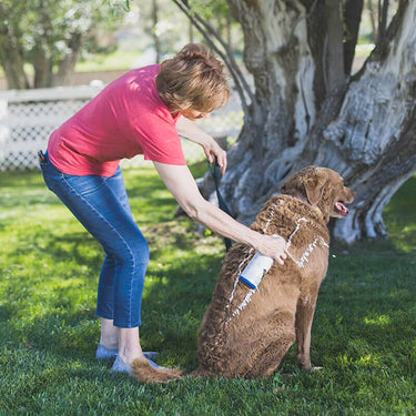 Vetericyn FoamCare® Medicated Pet Shampoo